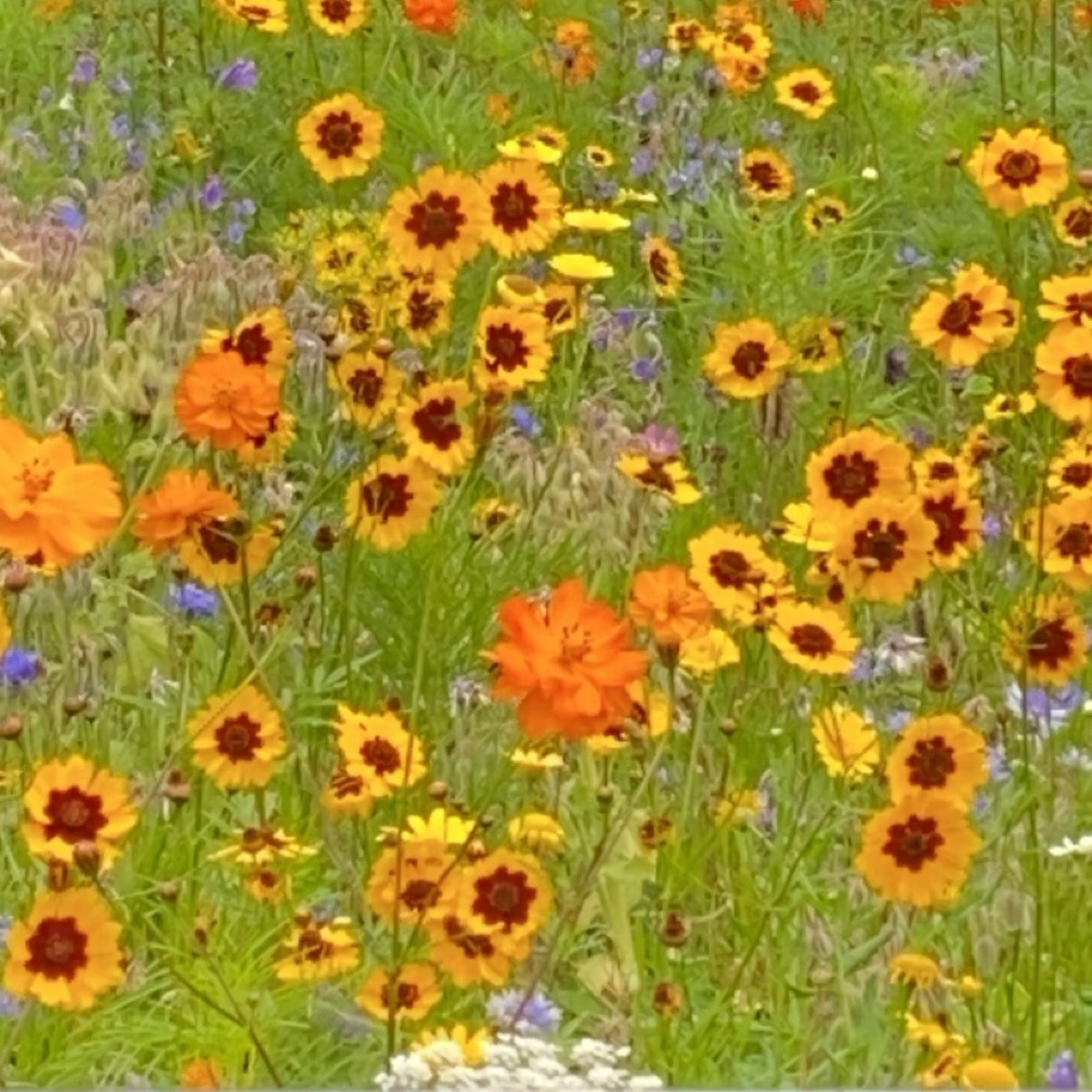 Photo de Marie-Josephe DEUSCHER